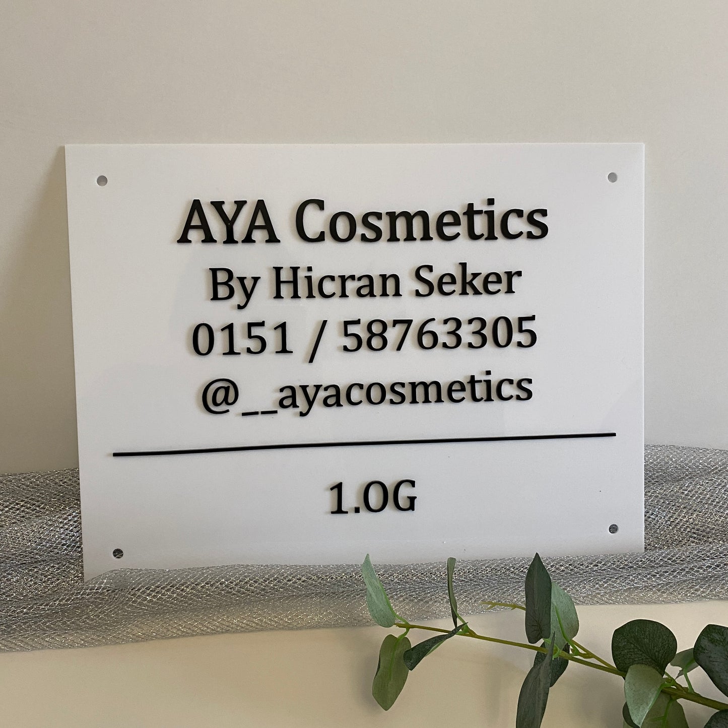 Logodesign, Empfangsschild, Schriftzug